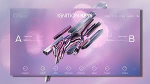 Native Instruments Play          Series. Igition Keys